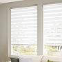 Zebra Double Layers Window Shades Blinds